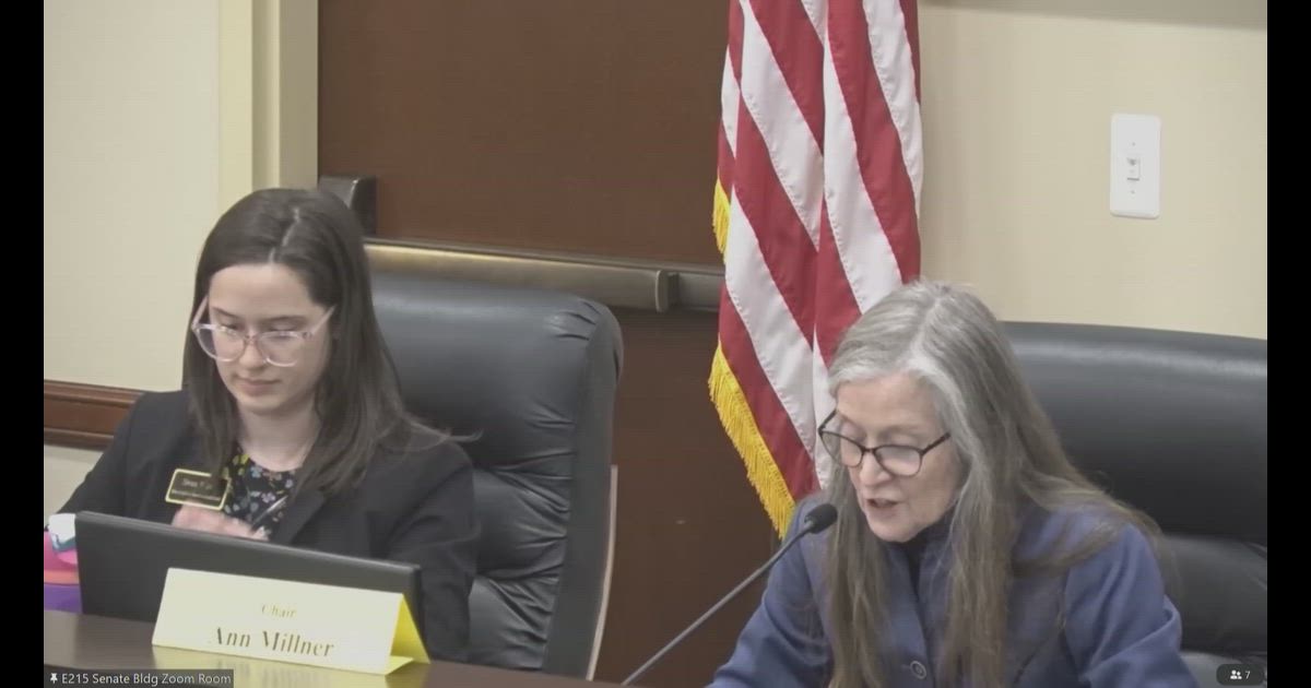 HB 59: Rep. Dunnigan presents Fireworks Modifications to Senate committee