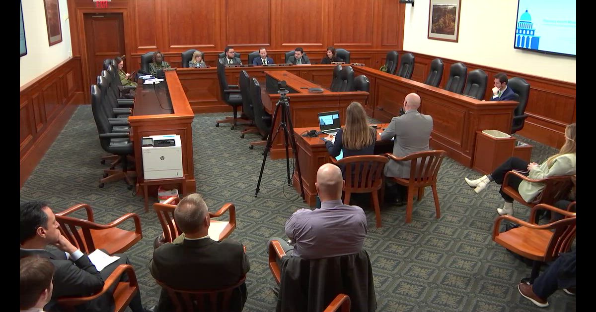 Hearing clip: MI (PBM Oversight Hearing: Sean Stephenson (PCMA) (for)) Why states hire PBMs