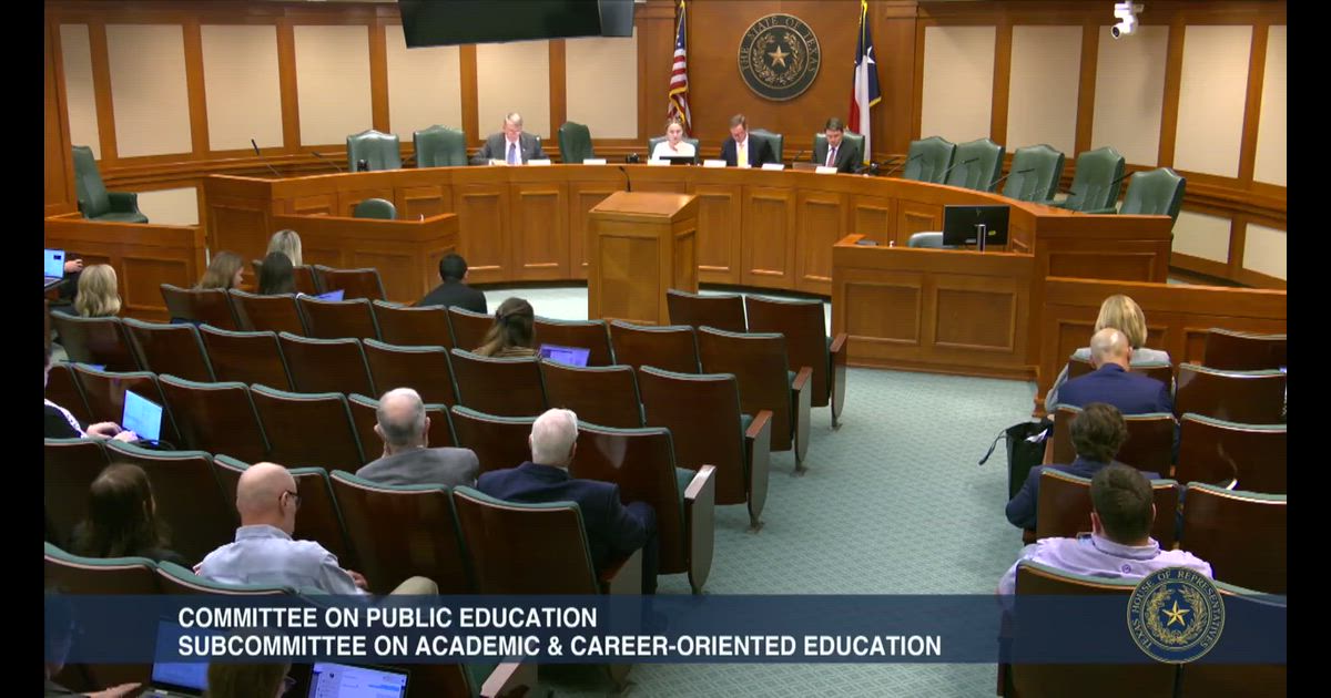 Hearing clip: TX: HB 117: Rep. Schoolcraft's early childhood governance task force on childcare access