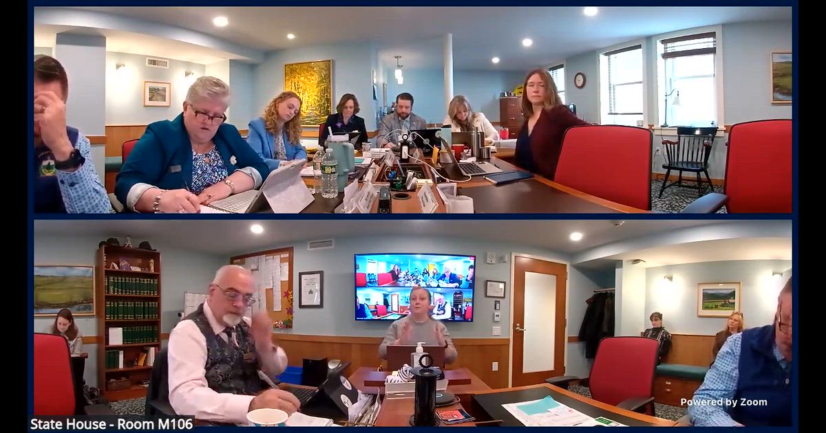 Hearing clip: VT: S.206: Testimony on early childhood educator licensure to expand childcare access