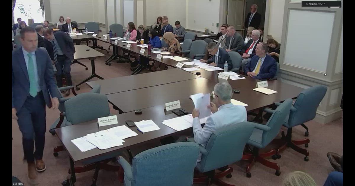 Hearing clip: DE (SB 271: Natalie DiSabatino, DE Dept. of Insurance (against)) PBM audit & price-gouging protections