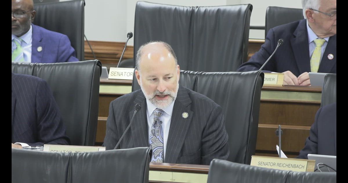 Hearing clip: SC (S.342: Senator from Dorchester (for)) opposes government price floor on PBMs